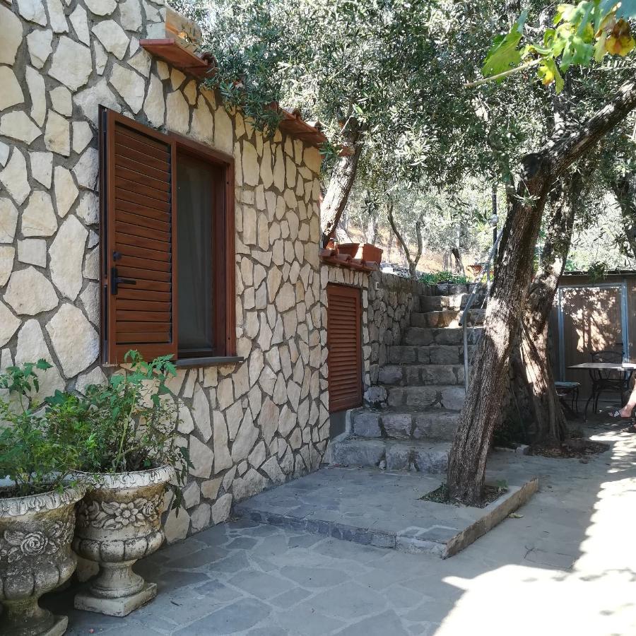 La Mandra, Cottage Tra Gli Ulivi Vico Equense Ngoại thất bức ảnh